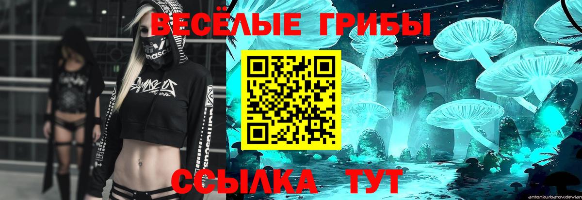 Галлюциногенные грибы мухоморы Медногорск